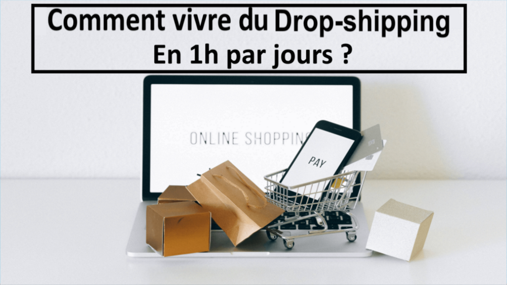 Comment vivre du dropshipping en 1h par jour la solution web